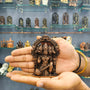 Panchmukhi Hanuman Idol Copper Finish 4.5 Inch